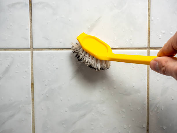 Best Water Damage Restoration  in South Taft, CA