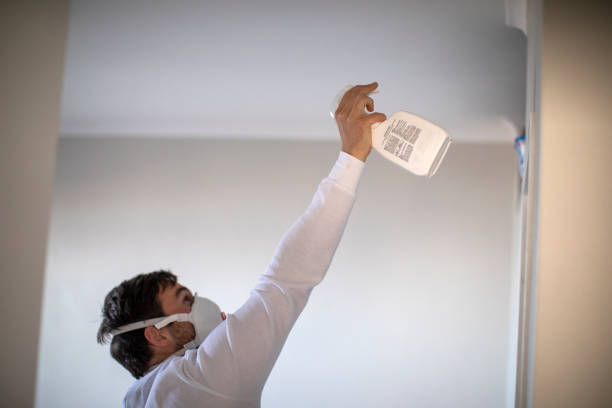 Best Local Mold Removal Service  in South Taft, CA