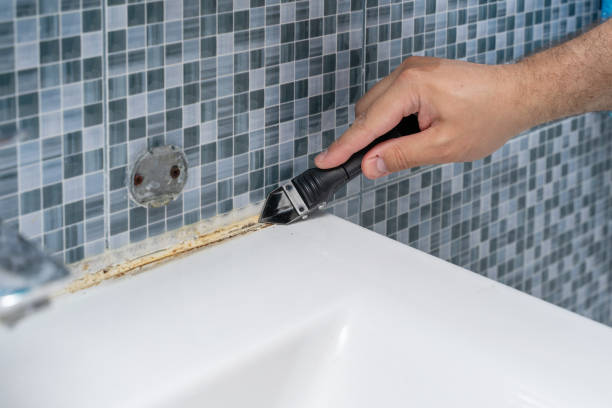 Best Mold Removal Near Me  in South Taft, CA