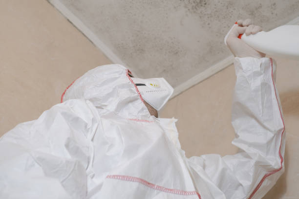 Best Water Damage Restoration  in South Taft, CA